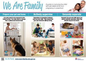 We are Family image of downloadable Pamphlet 1
